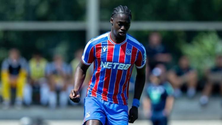 官方：水晶宫与19岁中场穆斯塔法续约至2028年，球员外租纽伦堡